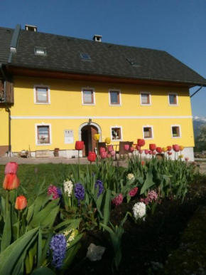 Гостиница Apartments superior in Farmhouse Tubej in the nature  Бохиньска Быстрица